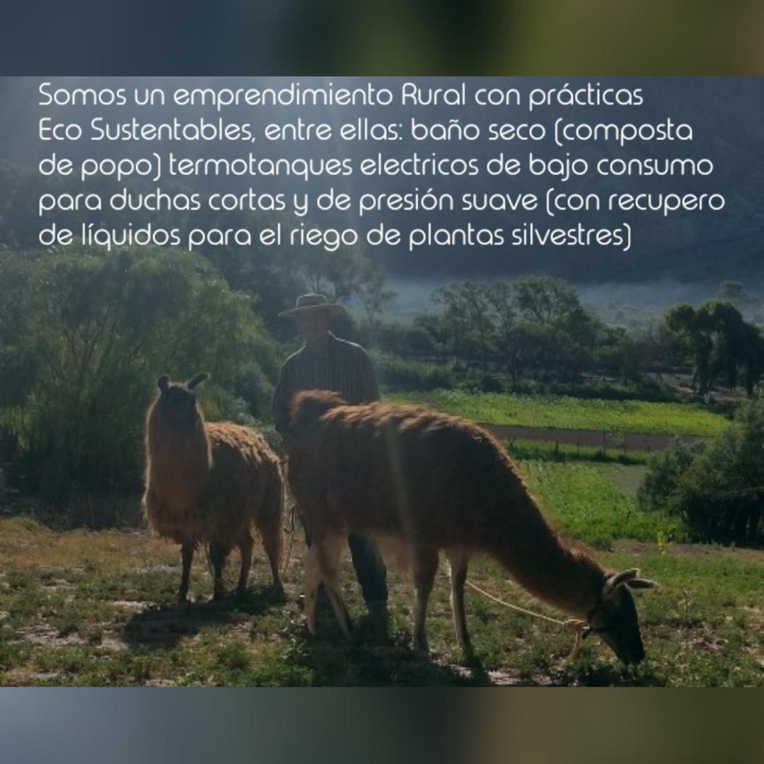 Dormir Con Llamas Maimara Exterior photo
